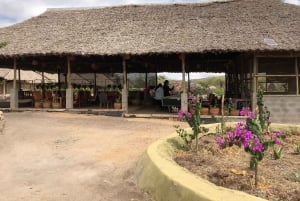 Nairobi: Overnattingstur til Magadi-sjøen