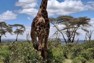 Nairobi: paseo en barco por el lago Naivasha y tour por la isla Crescent