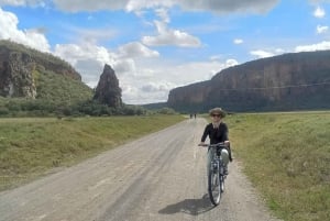 Nairobi: Dagstur til Lake Naivasha og Hell's Gate nasjonalpark