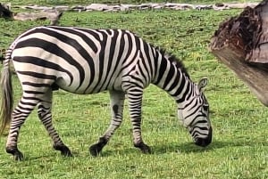 Nairobi: Dagstur til Lake Naivasha og Hell's Gate nasjonalpark