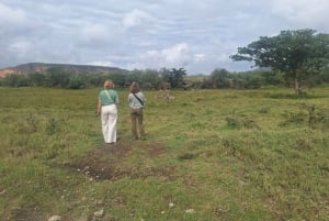 Nairobi: Dagstur til Lake Naivasha og Hell's Gate nasjonalpark