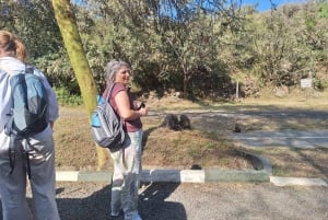 Nairobi: Dagstur til Lake Naivasha og Hell's Gate nasjonalpark