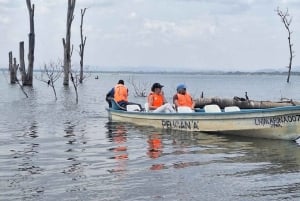 Nairobi: Dagstur til Lake Naivasha og Hell's Gate nasjonalpark
