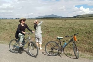 Nairobi: Dagstur til Lake Naivasha og Hell's Gate nasjonalpark