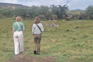 Nairobi: Dagstur til Lake Naivasha og Hell's Gate nasjonalpark