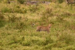 Nairobi: Passeio de barco de um dia no Lago Nakuru e no Lago Naivasha