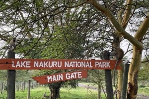 Nairobi: Passeio de barco de um dia no Lago Nakuru e no Lago Naivasha