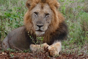Nairobi : excursion d'une journée en bateau sur les lacs Nakuru et Naivasha