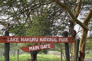 Nairobi : excursion d'une journée en bateau sur les lacs Nakuru et Naivasha