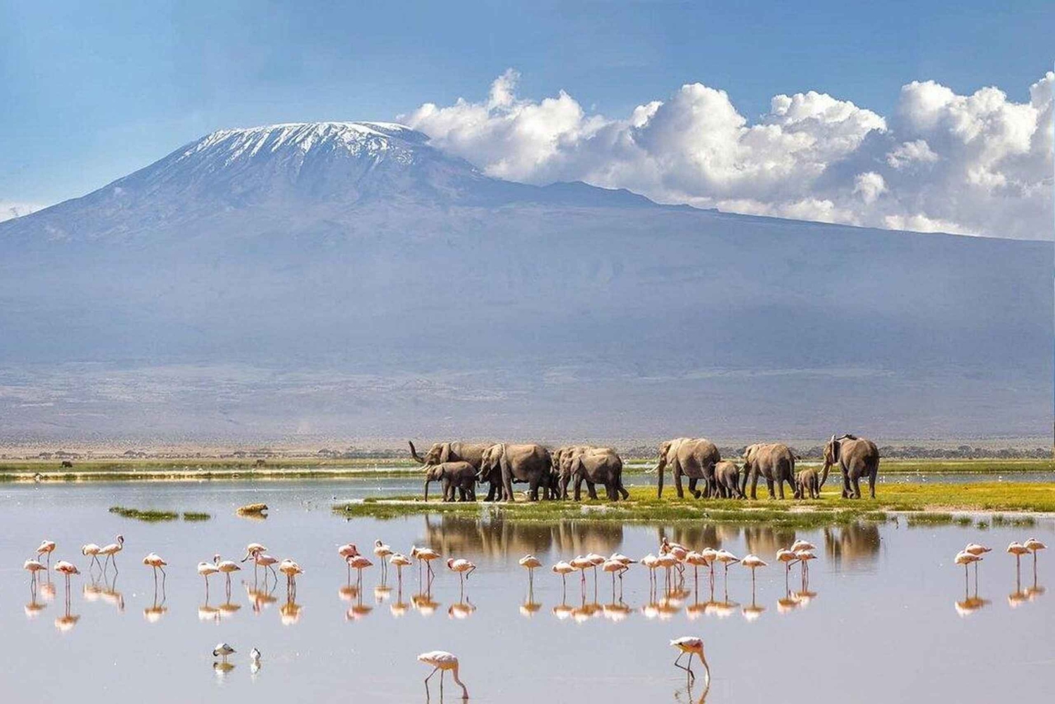Nairobi: Lake Nakuru Kayak Tour with Game Drive & Pickup