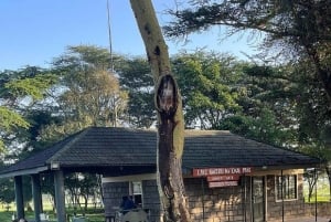 Nairobi: Lake Nakuru Park en een boottocht op Lake Naivasha