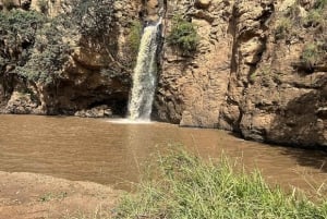 Nairobi: Lake Nakuru Park en een boottocht op Lake Naivasha