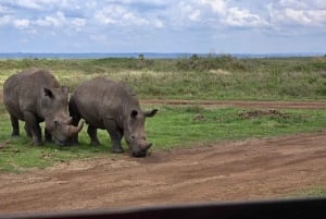 Nairobi: Lake Nakuru Park en een boottocht op Lake Naivasha