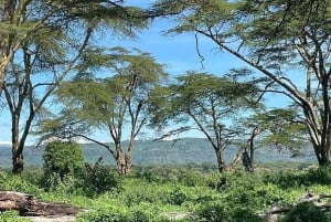 Nairobi: Lake Nakuru Park en een boottocht op Lake Naivasha