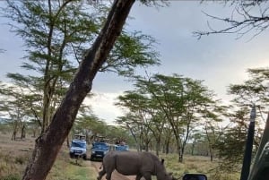 Nairobi: Lake Nakuru Park en een boottocht op Lake Naivasha