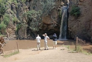 Nairobi: Lake Nakuru Park en een boottocht op Lake Naivasha