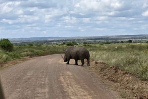 Nairobi: Lake Nakuru Park en een boottocht op Lake Naivasha