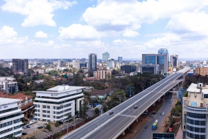 Nairobi: Layover & Stopover Private Tour.