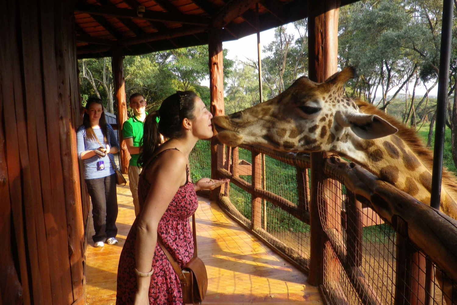 Nairobi Layover to Giraffe Center and Elephant Orphanage