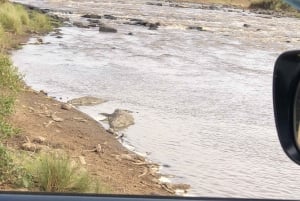 Nairobi to Maasai Mara Daytrip - AW