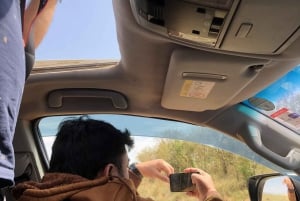 Nairobi to Maasai Mara Daytrip - AW