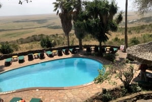 Nairobi to Maasai Mara Daytrip - AW