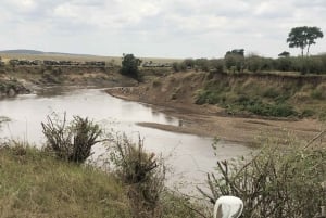 Nairobi to Maasai Mara Daytrip - AW