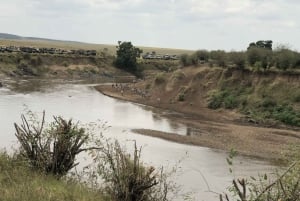 Nairobi to Maasai Mara Daytrip - AW