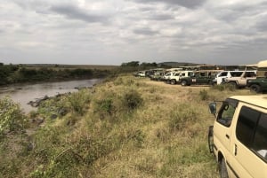 Nairobi to Maasai Mara Daytrip - AW