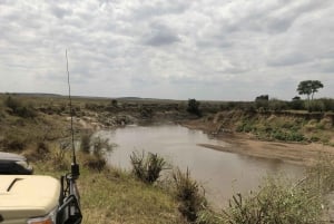 Nairobi to Maasai Mara Daytrip - AW