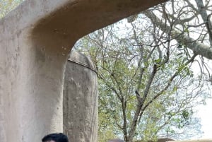 Nairobi to Maasai Mara Daytrip - AW