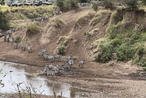 Nairobi to Maasai Mara Daytrip - AW