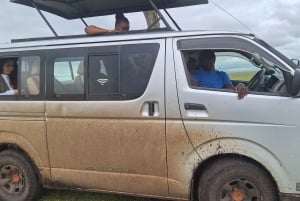 Nairobi to Maasai Mara Daytrip - AW