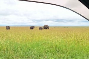 Nairobi to Maasai Mara Daytrip - AW