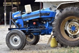 Nairobi : visite d'une ferme d'autruches masaï avec déjeuner et prise en charge