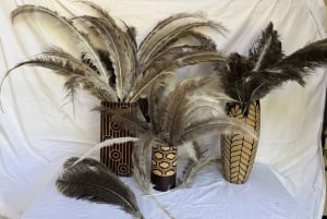 Nairobi : visite d'une ferme d'autruches masaï avec déjeuner et prise en charge