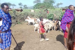 Nairobi: Maasai Village Visit and Cultural Experience Tour