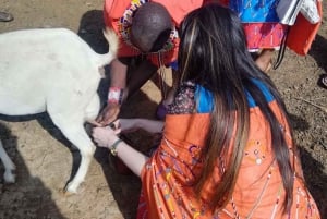 Nairobi: Maasai Village Visit and Cultural Experience Tour