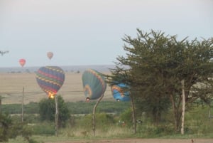 Nairobi: 3-dniowe safari Masai Mara z zakwaterowaniem