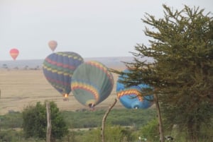 Nairobi: 3-dniowe safari Masai Mara z zakwaterowaniem