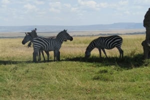 Nairobi: 3-dniowe safari Masai Mara z zakwaterowaniem