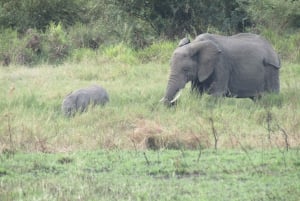 Nairobi: 3-dniowe safari Masai Mara z zakwaterowaniem