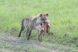 From Nairobi to Masai Mara Reserve & Village visit Day trip