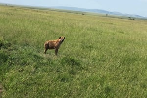 From Nairobi to Masai Mara Reserve & Village visit Day trip