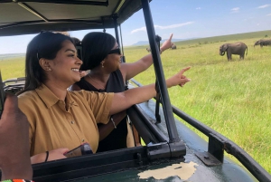 From Nairobi to Masai Mara Reserve & Village visit Day trip