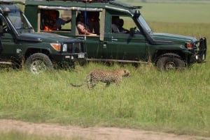 From Nairobi to Masai Mara Reserve & Village visit Day trip