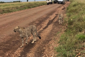 From Nairobi to Masai Mara Reserve & Village visit Day trip