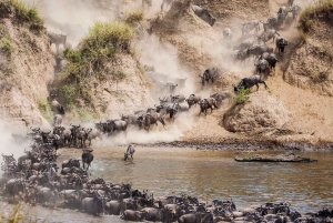 Nairobi: Masai Mara & Nakuru 4-Day Private Safari in A Van