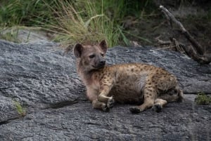 Nairobi to Maasai Mara Daytrip - AW