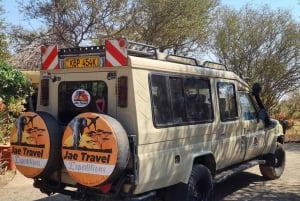 Nairobi to Maasai Mara Daytrip - AW